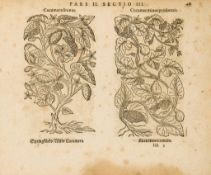 Eicones Plantarum, seu Stirpium, Arborum Nempe, Fructicum, Herbarium, Fructuum Eicones Plantarum,