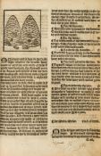 [Platearius (Joannes)] - [The Grete Herball whiche geveth parfyt Knowlege...of Herbes & there
