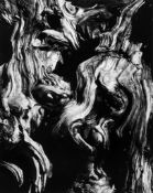 Brett Weston (1911-1993) - Untitled (Tree Bark Abstraction), 1970 Gelatin silver print, flush