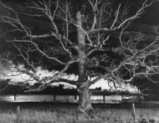 O. Winston Link (1914-2001) - NW 1643 Giant Oak, Max Meadows, Virginia, 1956 Gelatin silver print,