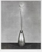 Robert Mapplethorpe (1946-1989) - Flower 9 photogravure, 1983, signed in pencil, numbered 16/40,