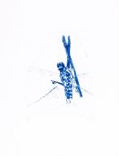 Peter Doig (b.1959) - The Wonders of Ski-ing etching printed in blue, 2007, signed in pencil,
