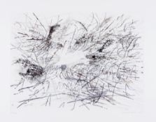 Julie Mehretu (b.1970) - Untitled (Pulse) lithograph printed in four colours, 2013, signed and dated