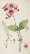 Martyn (Thomas) - Flora Rustica: Exhibiting...Figures...of such Plants as are EitherUseful or