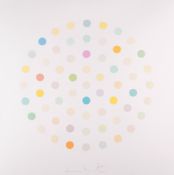 Damien Hirst (b.1965) - Ciclopirox Olamine aquatint printed in colours, 2004, signed in pencil,