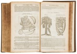 Gerard (John) - The Herball or General Historie of Plantes, edited by Thomas Johnson,   third