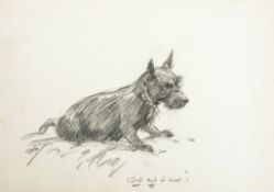 Stewart (F.A.) - Hunting Countries,  original illustration of a dog signed by the artist/author úS`
