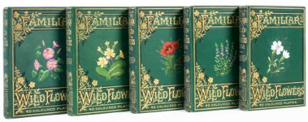 Hulme (F.Edward) - Familiar Wild Flowers, 5 vol.,  200 chromolithographed plates, endpapers a