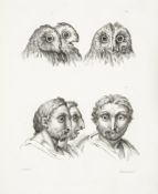 Le Brun (Charles) - A Series of Lithographic Drawings, Illustrative of the Relation between the