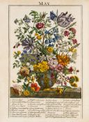Furber (Robert) and others. - The Flower-Garden Display`d...  with the Description and History of