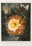 Thornton (Robert John) - Temple of Flora,  one of 250 copies of the special edition, plates, tissue