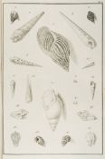 Born (Ignaz Edler Von) - Testacea Musei Caesarei Vindobonensis...,  engraved vignette title and