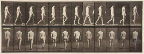 Eadweard Muybridge (1830-1904) - Epilepsy, Walking, Plate 549, 1887 Collotype from Animal