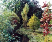Stephen Shore (b.1947) - Giverny, 1977 Chromogenic print, printed 2002, signed and editioned 18/50