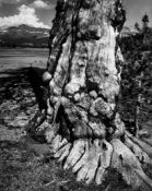 Ansel Adams (1902-1984) - Tuolumne Meadows, Plate 14, 1941 Gelatin silver print, printed 1963,