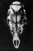 Ruth Bernhard (1905-2006) - Skull and Rosary, 1945 Gelatin silver print, printed later on Agfa
