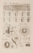 Grew (Nehemiah) - The Anatomy of Plants. With an Idea of a Philosophical History of Plants...,