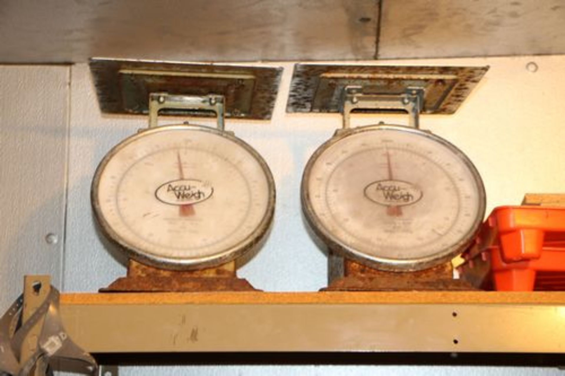 Two Accu-Weigh 75 lb Scales