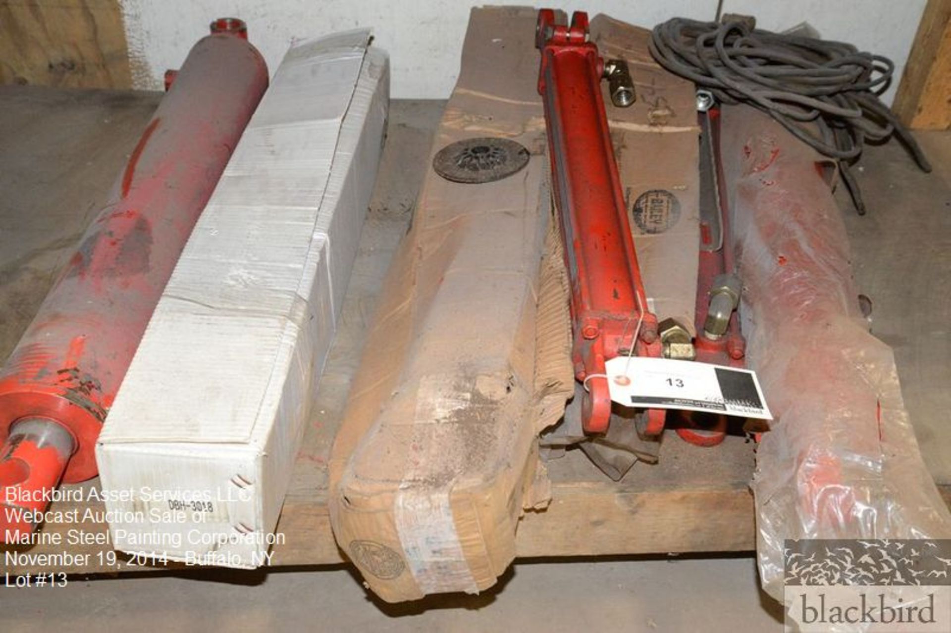 Lot- Hydraulic cylinders - (7) Chief cylinders