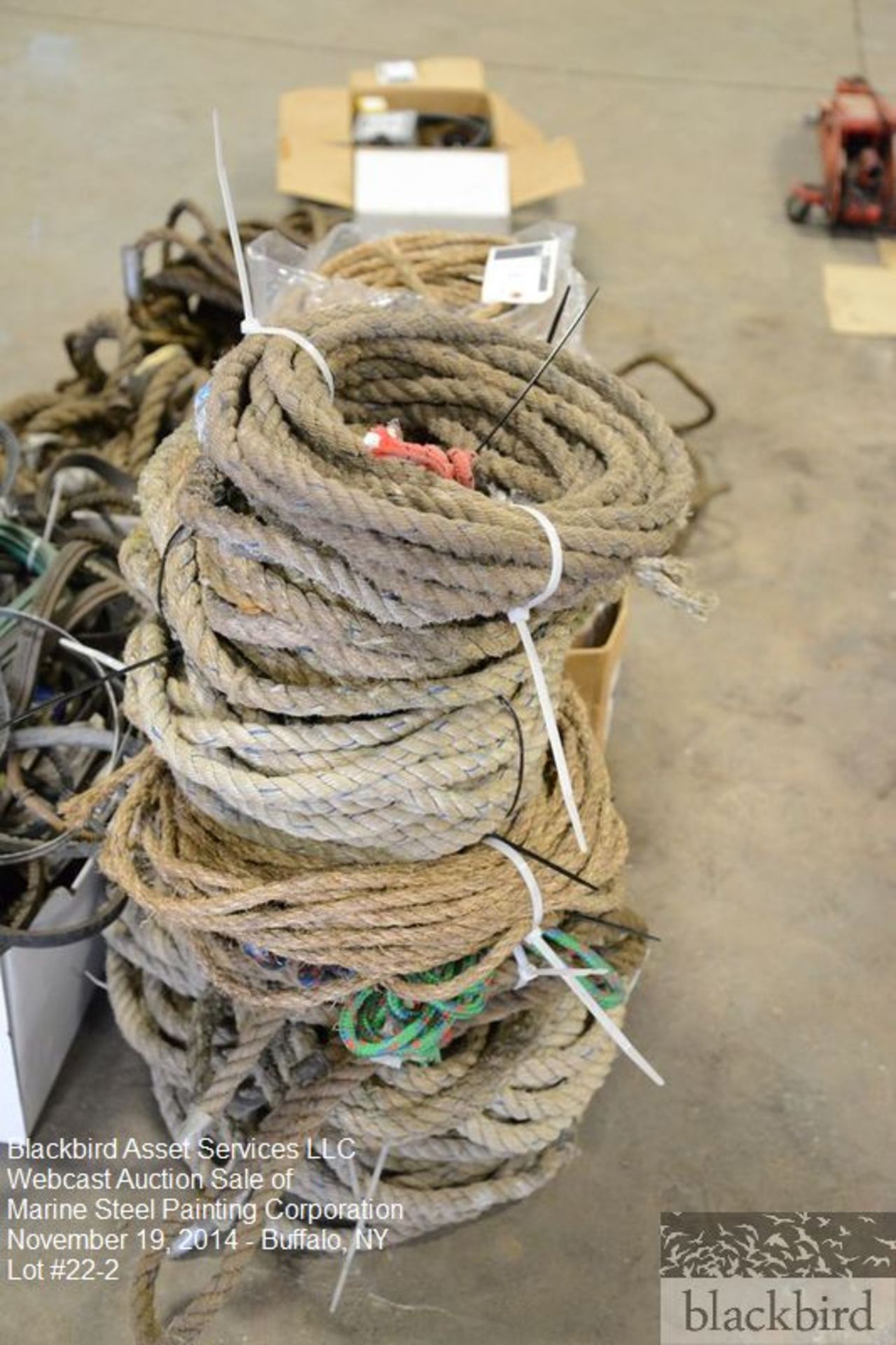 Lot- Misc. ropes, fan belts, block and tackle? - Image 3 of 4