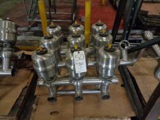 Valve APV 3 inch Air Valve Cluster, Model SW4