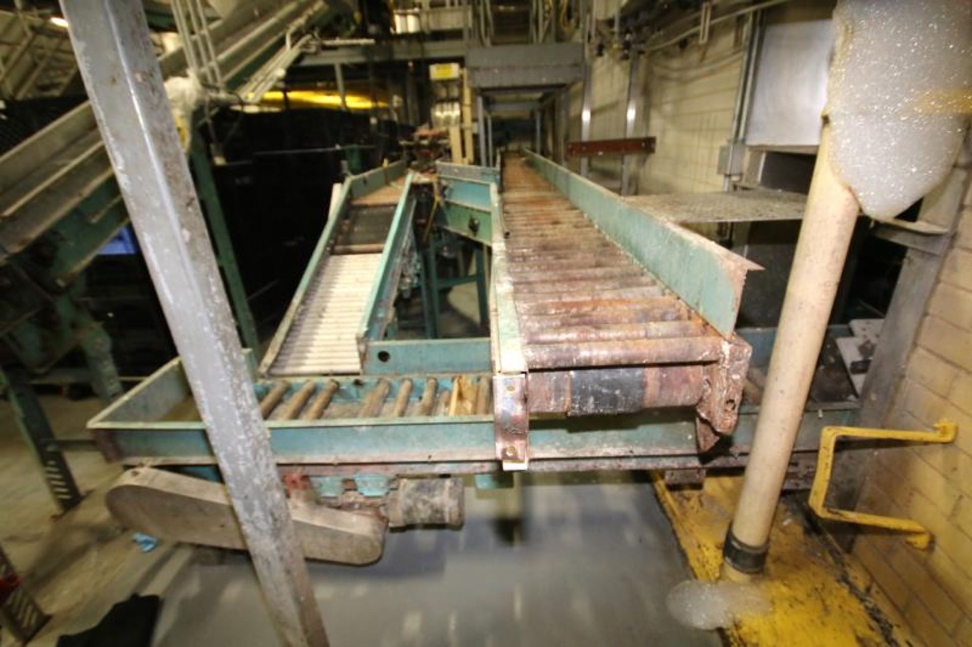 Aprox. 100 ft. Roach / Brano Case Conveyor
System, Power Roller & Belt Type with Straight - Image 3 of 6