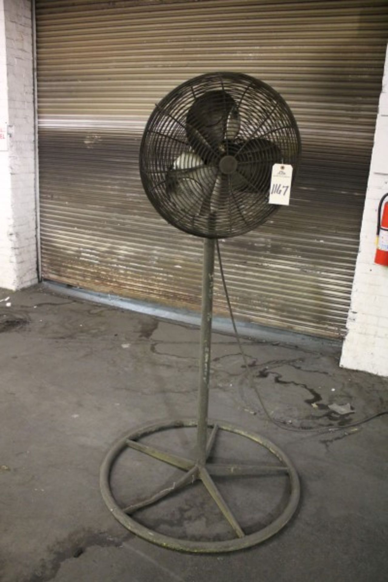 Pedestal Fan