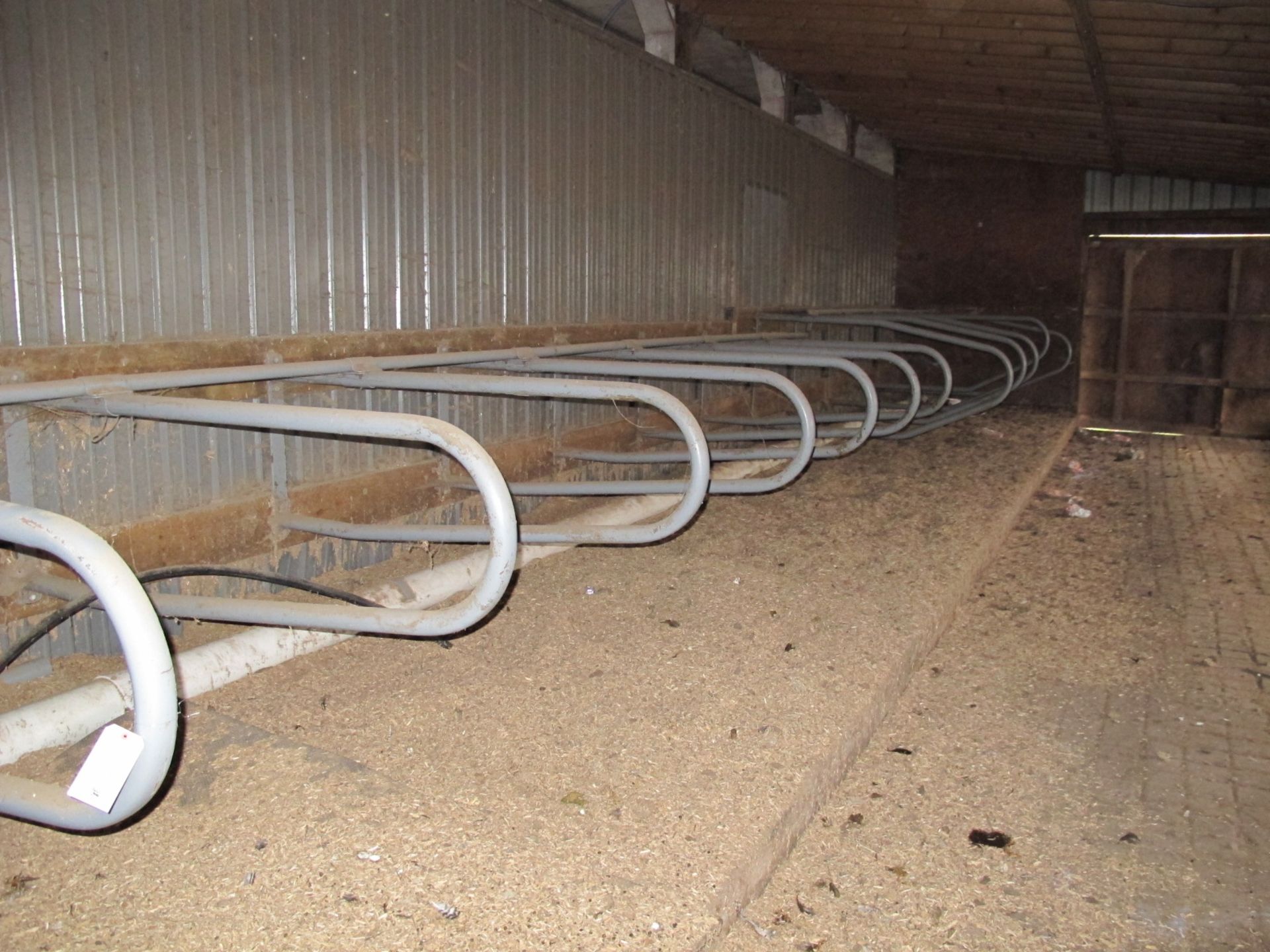 Lot (12) Head Stalls