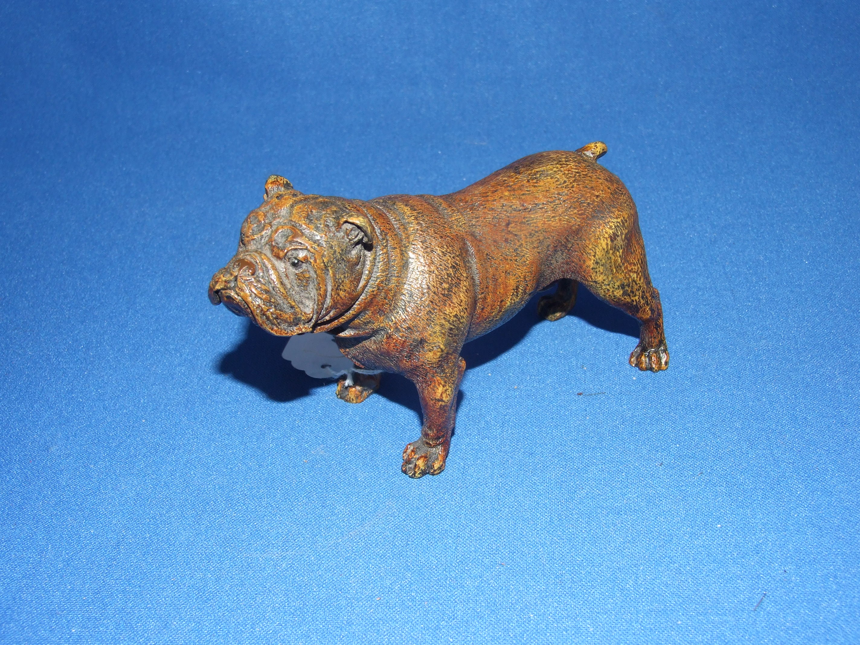 A cold painted bulldog, 13 cm wide