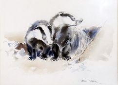 Watercolour drawing 
Eileen Alice Soper (1905-1990)
Study of two badgers, signed 26 x 35cms
