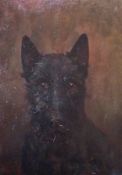 Oil on board
Mabel Holmes Pegler
Black Cairn terrier, 35 x 24 cms