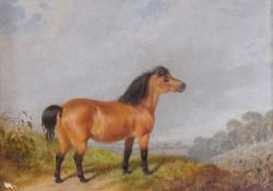 Oil on board 
Bay pony in foreground of hilltop landscape, 19cm x 24cm