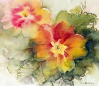 Watercolour drawing
Ann Blockley 
Floral study, signed, 22cm x 26cm together with 
Print
of a