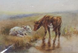 Watercolour drawing
Thomas Bond Walker (1861-1933)
Cow with calf by moorland pond 18 x 25cms