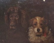 Oil on canvas
Mabel Holmes Pegler
Portrait of two dogs - chocolate spaniel and terrier, 40cm x 50cm