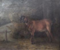 Oil on board
Mabel Holmes Pegler
Goat in landscape setting, named on reverse and dated 1878, 43 x 52