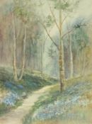 Watercolour
E Pavey 
"The Bluebell Wood", signed, 44cm x 33cm