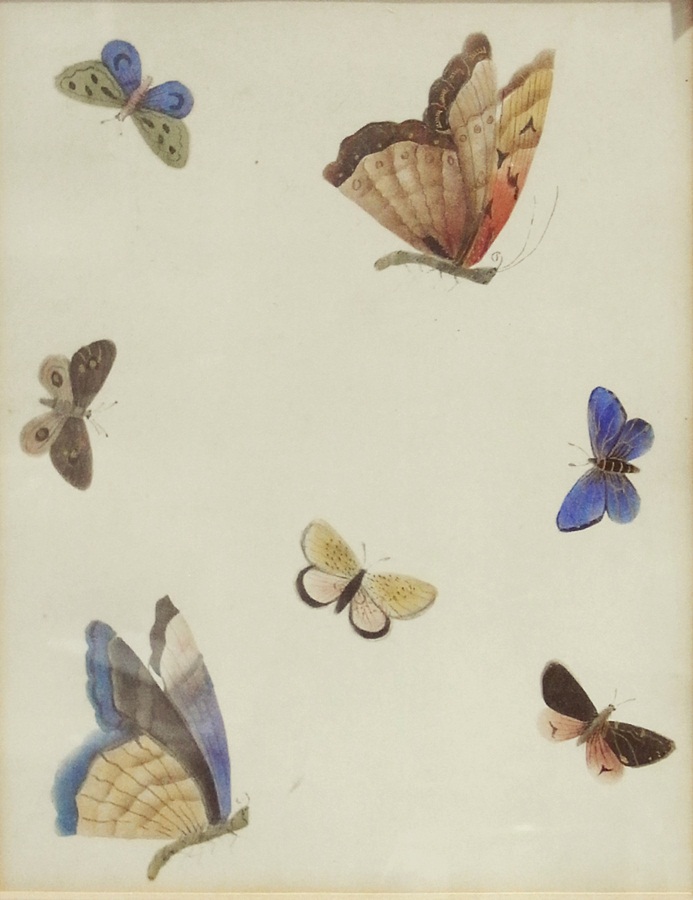 Pair of paintings on rice paper of studies of butterflies and insects (af)