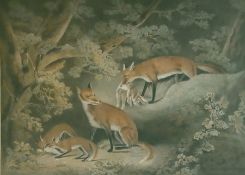 Handcoloured Print
after G Morland
Foxes in a wooded lair with rabbit, entitled on reverse "A Litter