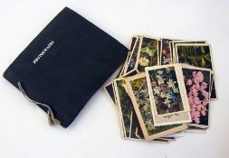 20th century postcard album with various postcards depicting different types of flora with