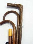 Maple(?) walking stick with ivory tip, three other walking sticks, a book of common prayer with