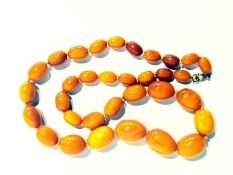 String of egg yolk or butterscotch coloured graduated amber beads, approximately 76g