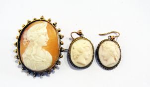 A carved cameo brooch in gilt metal oval surround, head of shoulders of Victorian lady and pair pink