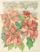 Watercolour drawing
Lillian D....?
Poinsettia
signed, titled and dated 1982 in pencil
47 x 39 cms