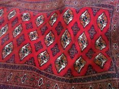 Afghan wool pile rug in Bokara-style, multiple quartered guls, on a red field