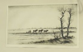 Etching
After  Douglas Macleod
Team of three horses, ploughing in farm landscape
18 x 33 cms