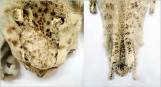 Antique snow leopard skin rug