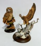 Three Country Artists painted models, Peregrine falcon, tawny owl, golden eagle and model Merlin