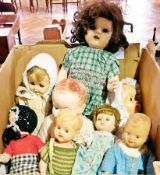 Quantity plastic and celluloid dolls (8)