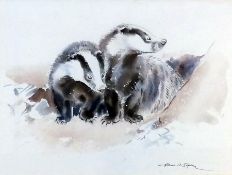 Watercolour drawing
Eileen Alice Soper (1905-1990) 
Study of two badgers, signed, 26cm x 35cm